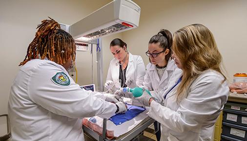 Respiratory Care students in lab simulating intubation